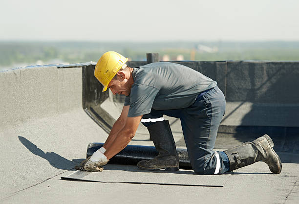 Best Insulation Installation Services in Brazoria, TX